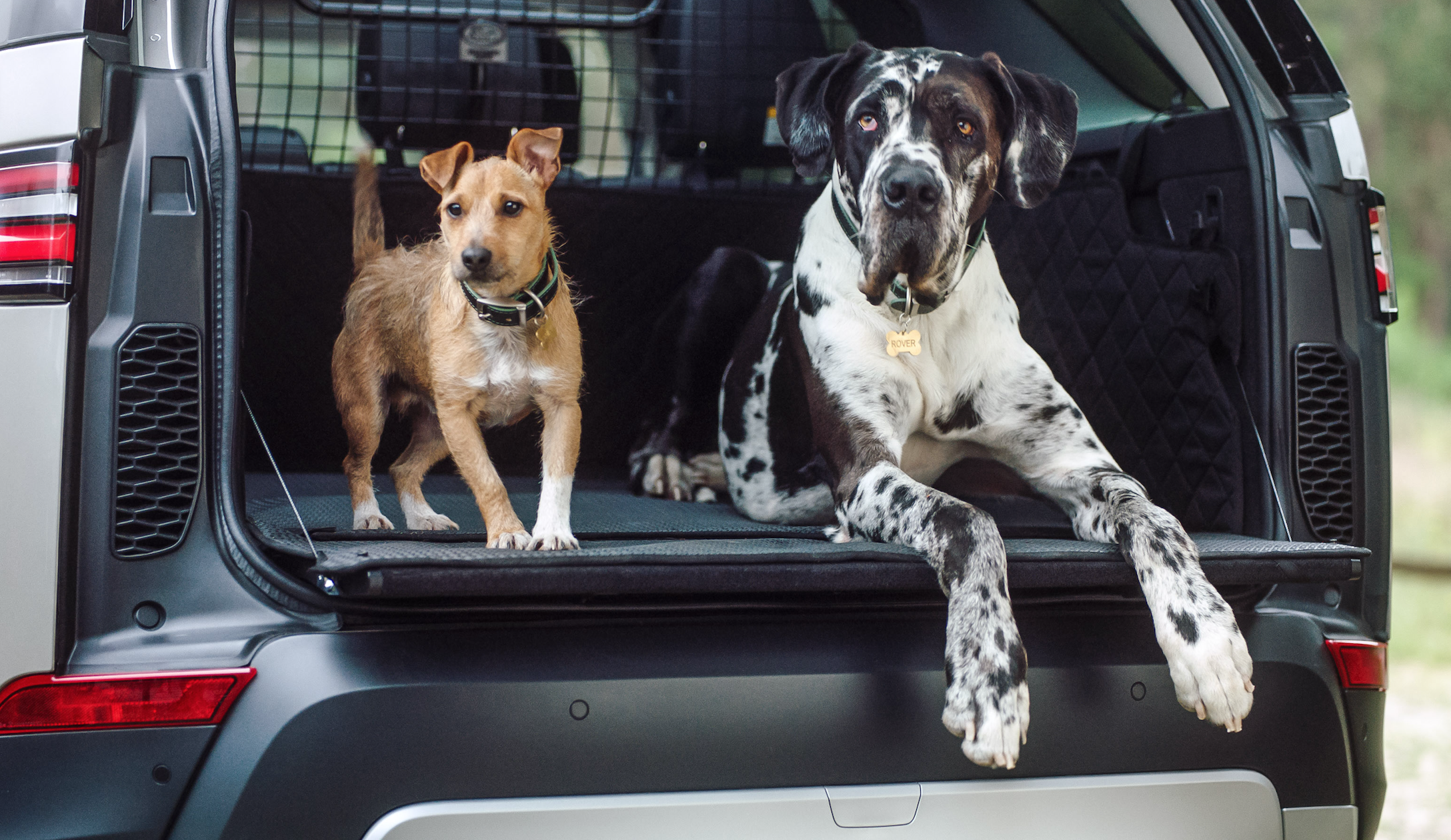 Land Rover nu ook in zeer diervriendelijke uitvoering