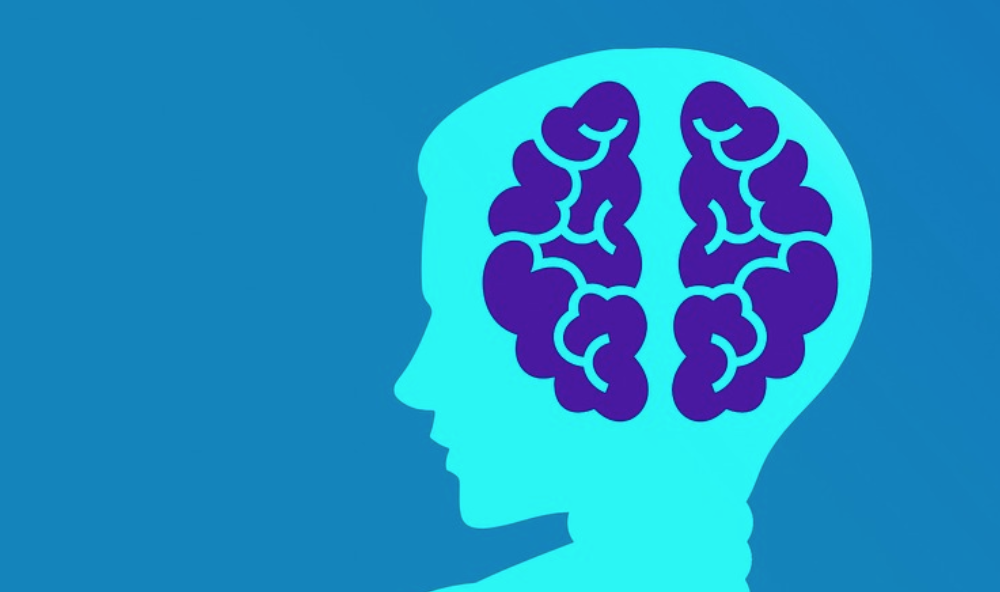 Unless voorspelt succes van websites met machine learning